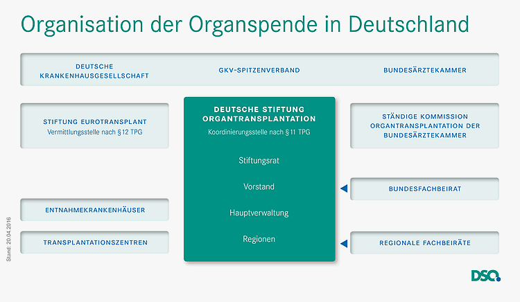 Organisation der Organspende in Deutschland